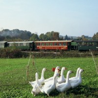 Historische Schmalspurbahn "Öchsle" Warthausen-Ochsenhausen